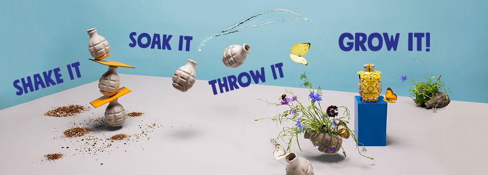 Kabloom Birds, Bees & Butterflies Seedbom Gift Box 