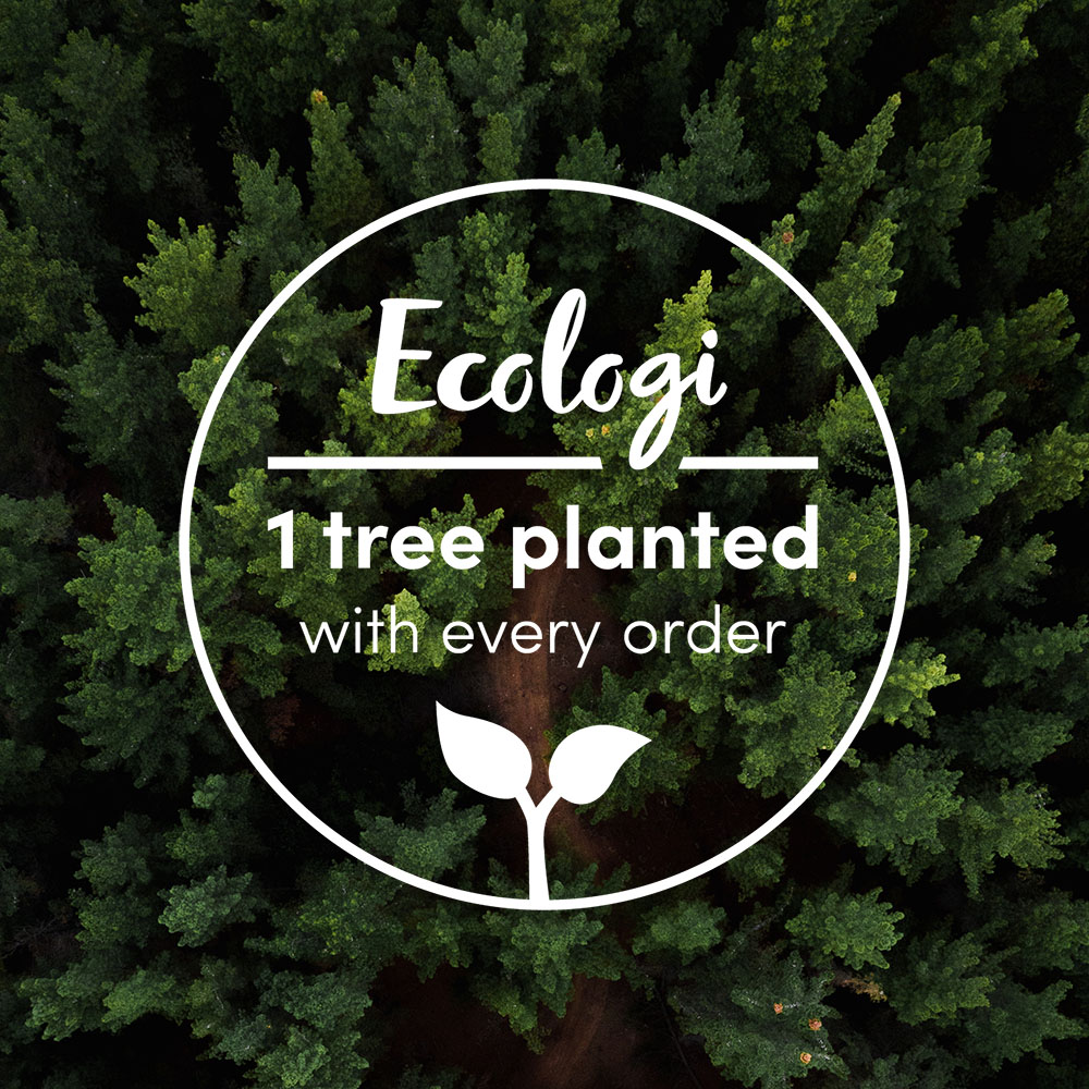 The Signature Collection Christmas Hamper 