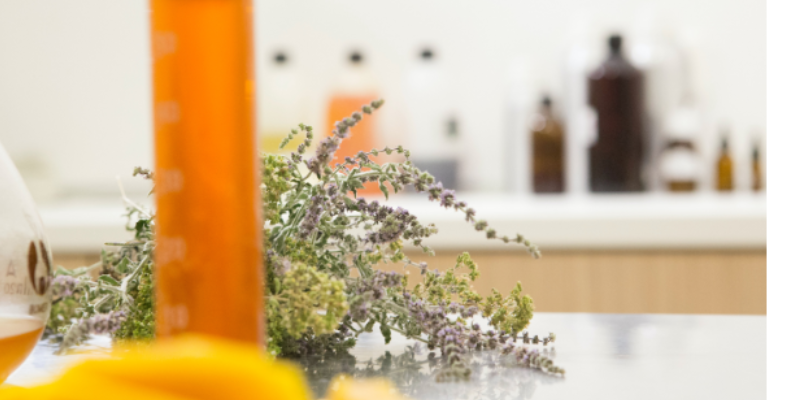 Cruelty-Free vs Vegan: What's the Difference?