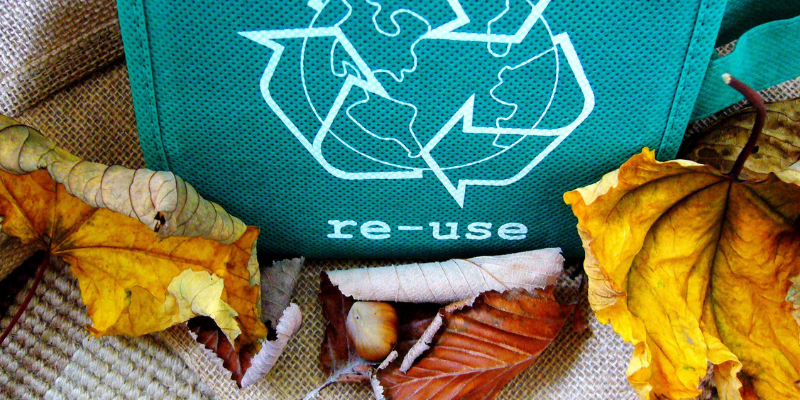 The 7 Best Reusable Accessories You Need