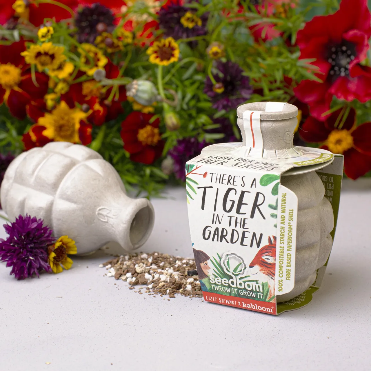 Tigerbom Seedbom & Book Set